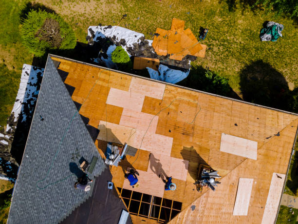 Best Best Roofing Contractors  in La Vista, NE